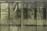 abstract neighbors