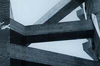 Lina Bo Bardi