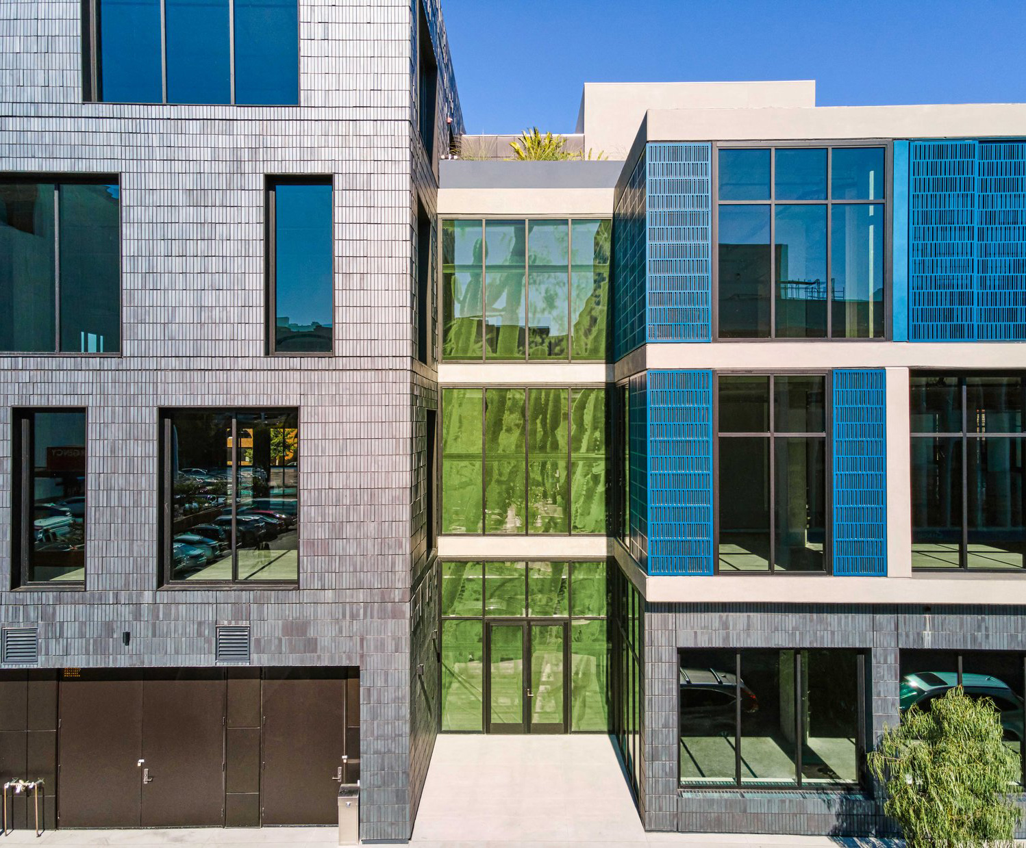 architecure of plants