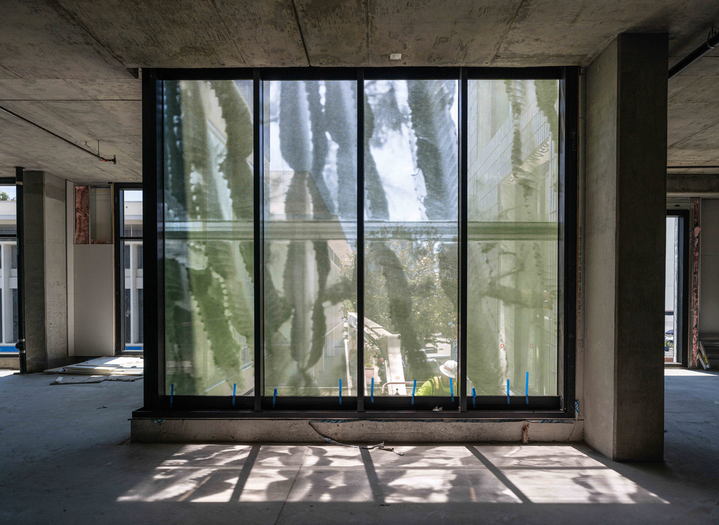 architecure of plants