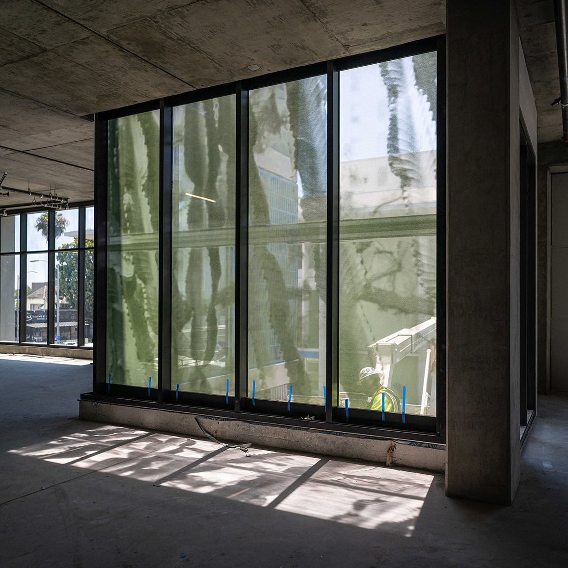 architecure of plants